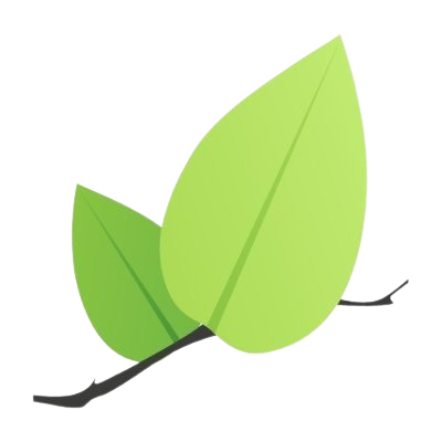 Halifax Transit Tracker